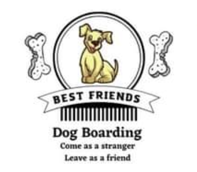 Best Friends Home Dog Boarding